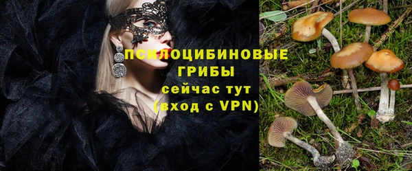 экстази Корсаков