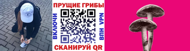 Купить где  Дагестанские Огни  Псилоцибиновые грибы Cubensis 